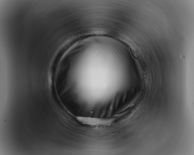 X0000094200350200711161813