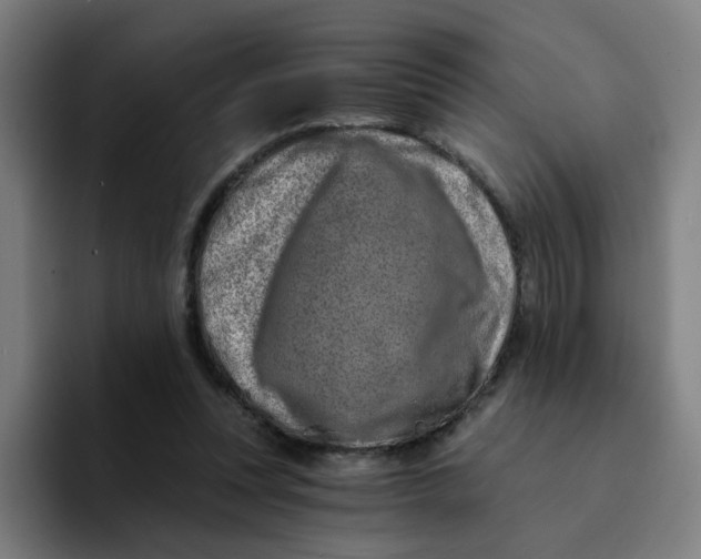 X0000094200351200711161813