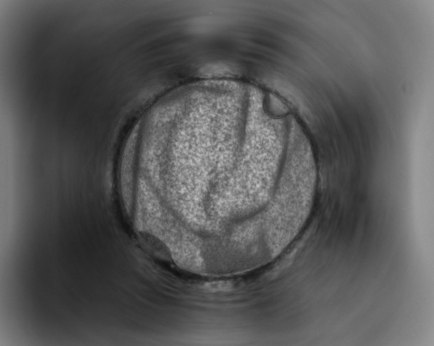 X0000094200353200711161813