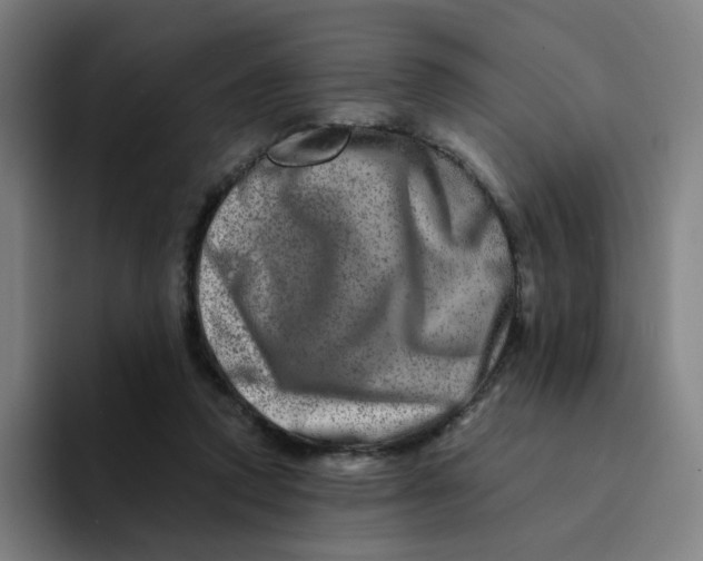 X0000094200354200711161813