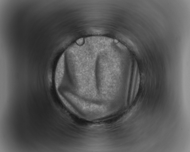 X0000094200358200711161813