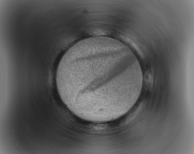 X0000094200359200711161813