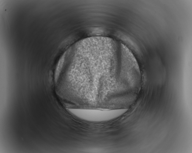 X0000094200361200711161813