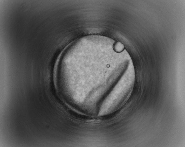 X0000094200362200711161813