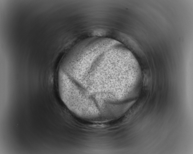 X0000094200363200711161813