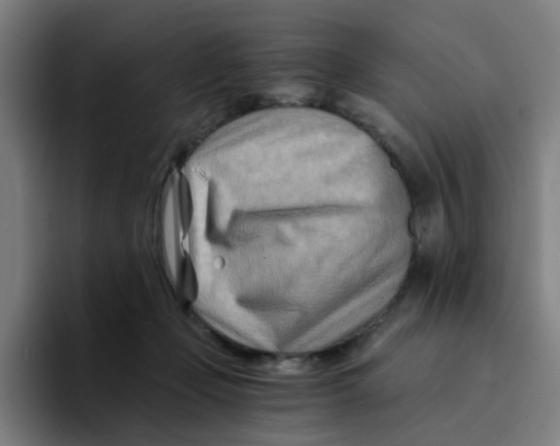 X0000094200365200711161813