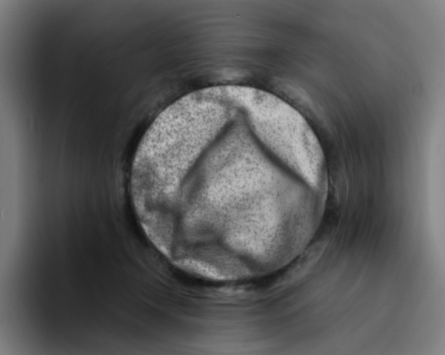 X0000094200366200711161813