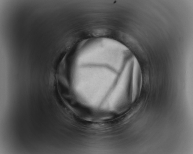 X0000094200367200711161813