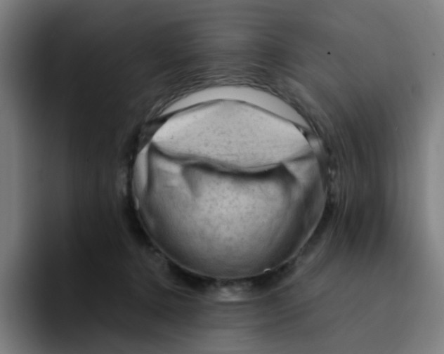 X0000094200368200711161813