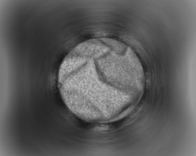 X0000094200369200711161813