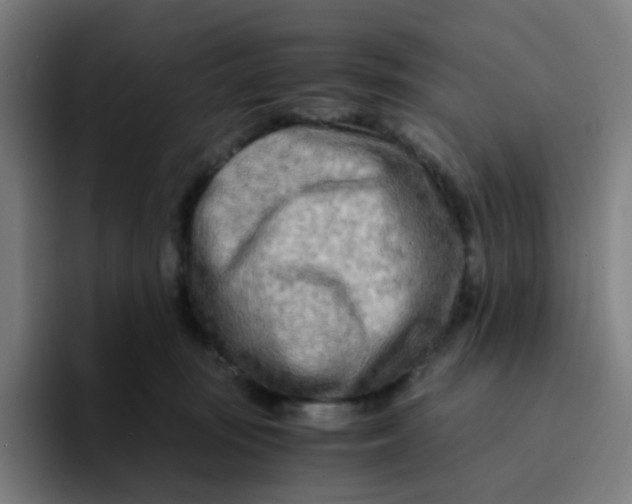 X0000094200371200711161813