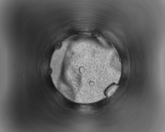 X0000094200376200711161813