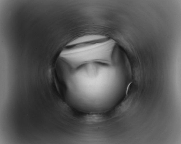 X0000094200378200711161813