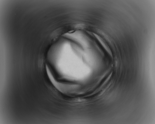 X0000094200379200711161813