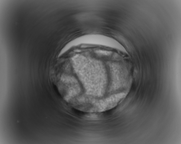 X0000094200381200711161813