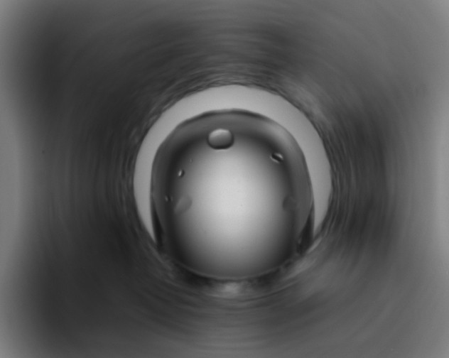 X0000094200382200711161813