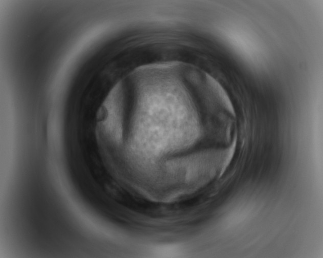 X0000094200383200711161813