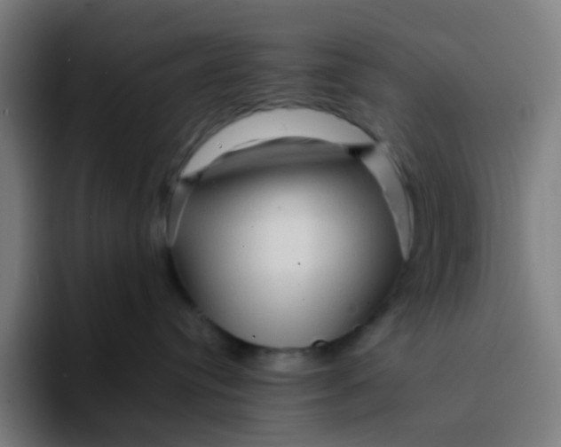 X0000094200384200711161813