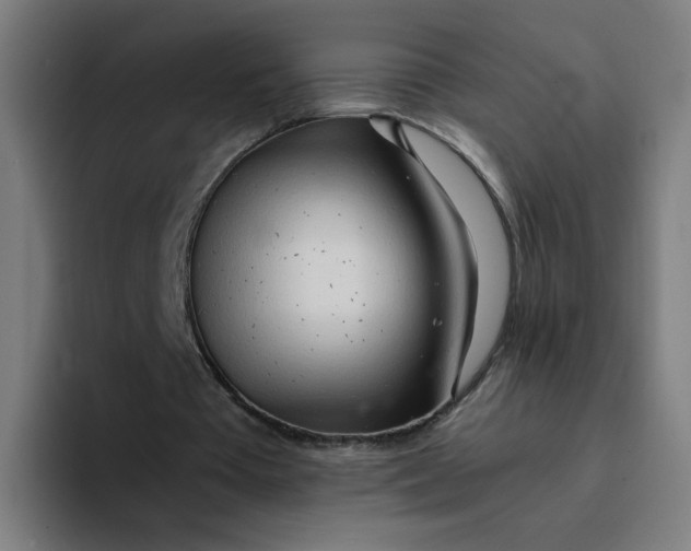 X0000094200385200711161812