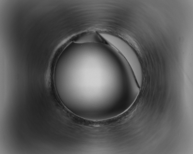 X0000094200388200711161812