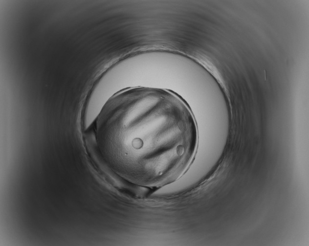 X0000094200389200711161812