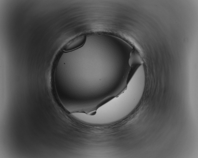 X0000094200391200711161812