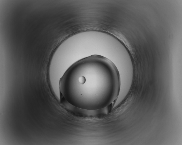 X0000094200393200711161812