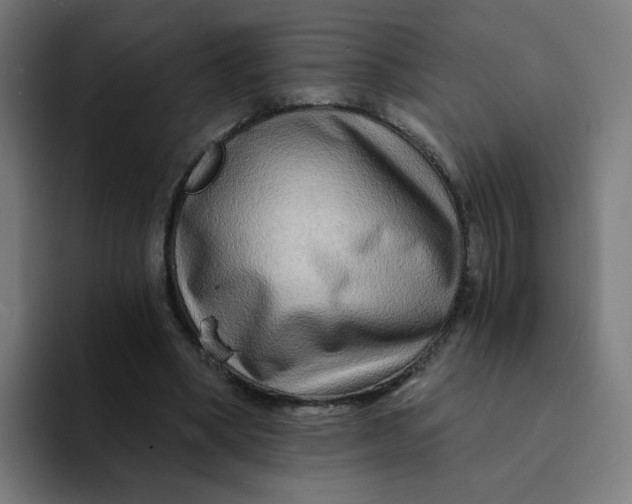 X0000094200394200711161812