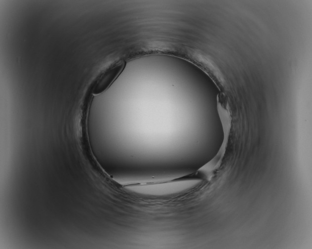 X0000094200395200711161812