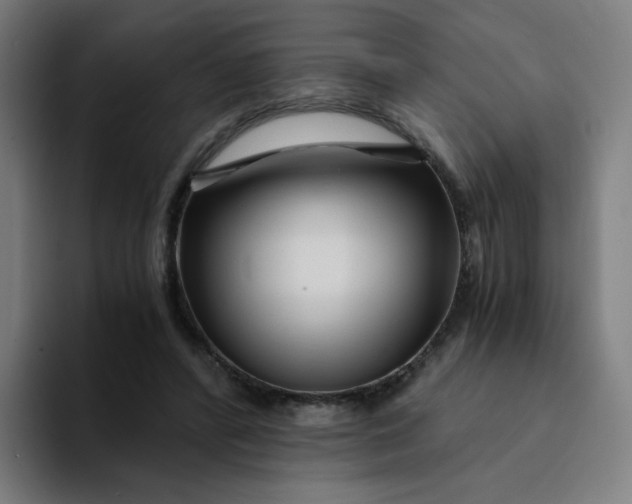 X0000094200400200711161812