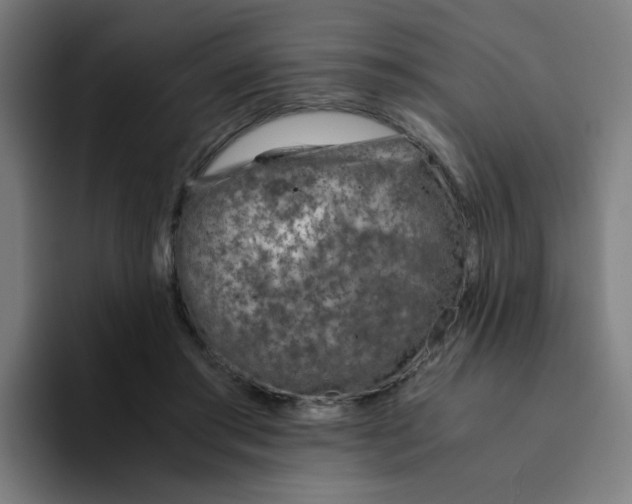 X0000094200405200711161812