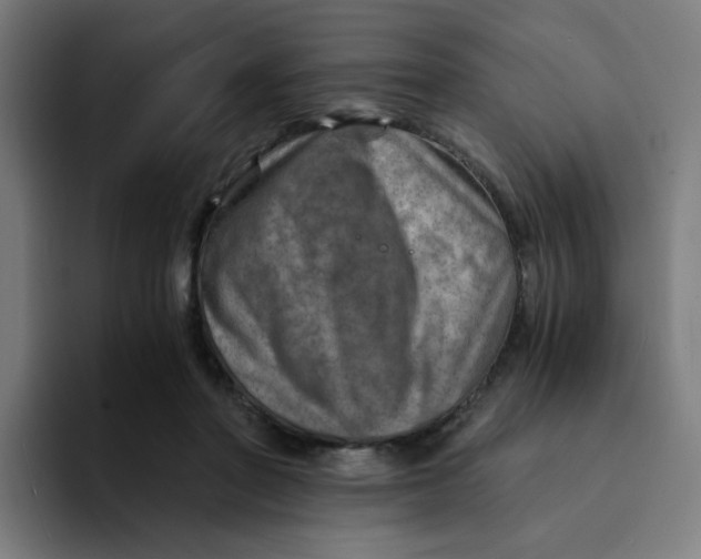 X0000094200406200711161812