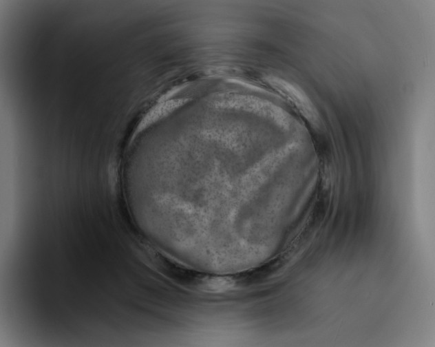 X0000094200409200711161812