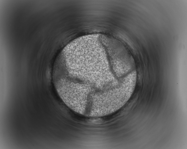 X0000094200410200711161812