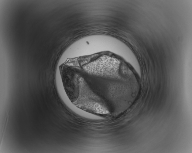 X0000094200411200711161812