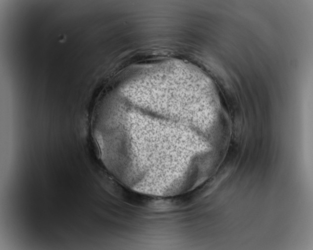 X0000094200413200711161812