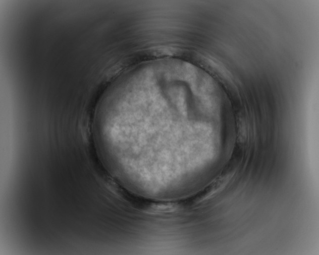 X0000094200414200711161812