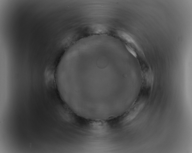 X0000094200415200711161812