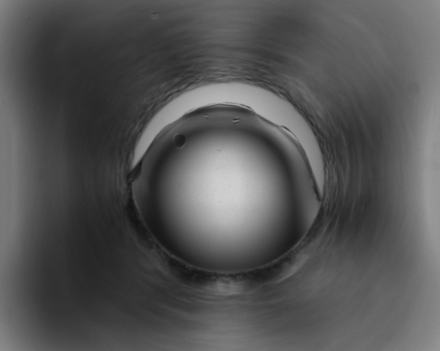 X0000094200416200711161812