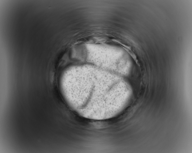 X0000094200417200711161812