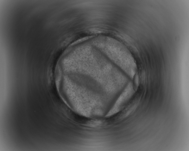 X0000094200418200711161812