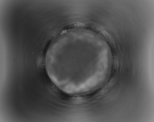 X0000094200419200711161812