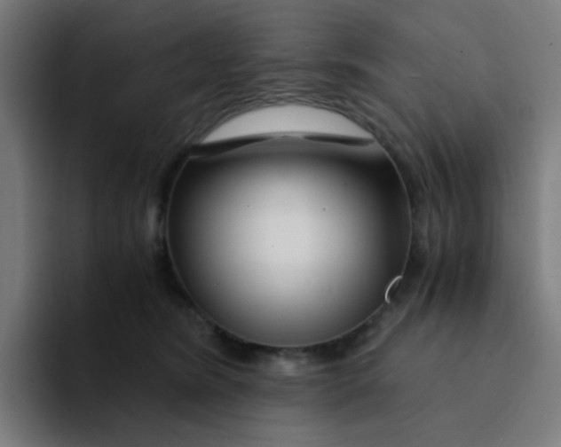 X0000094200420200711161812