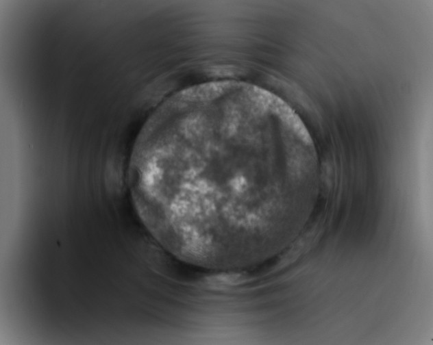 X0000094200422200711161812