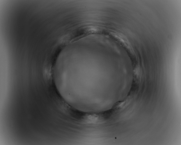 X0000094200423200711161812