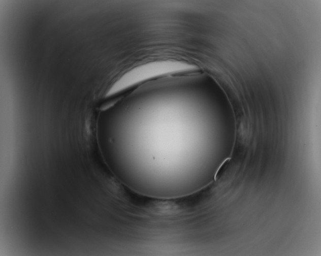 X0000094200424200711161812