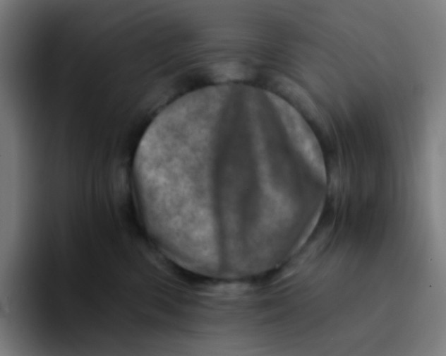 X0000094200426200711161812