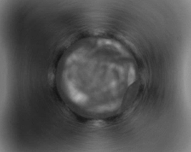 X0000094200427200711161812