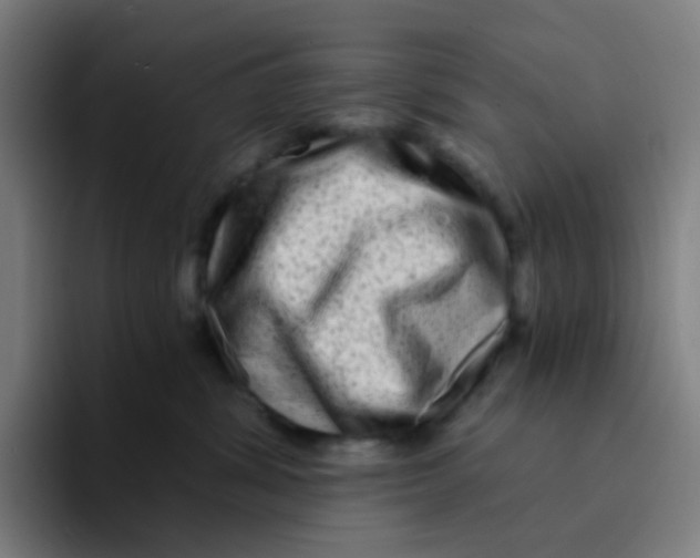 X0000094200428200711161812