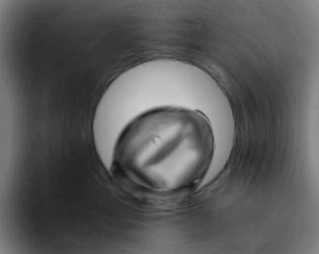 X0000094200429200711161812